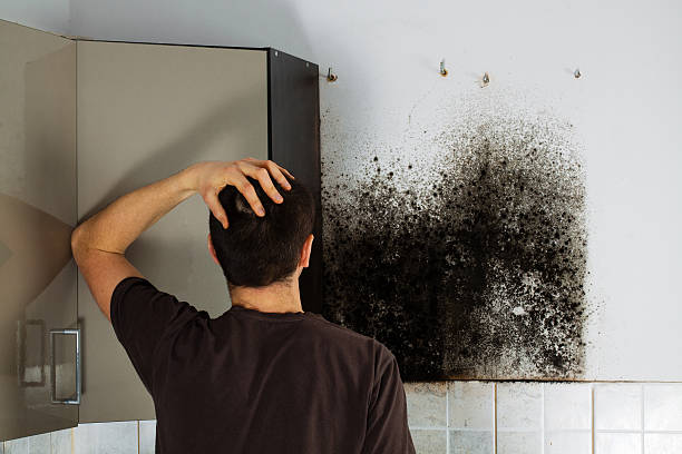 Best Crawl Space Mold Removal  in Boardman, OR
